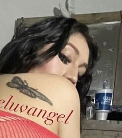 angelhisfav